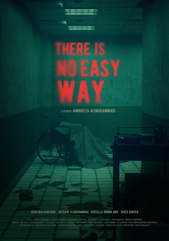 Poster for Missing Project File