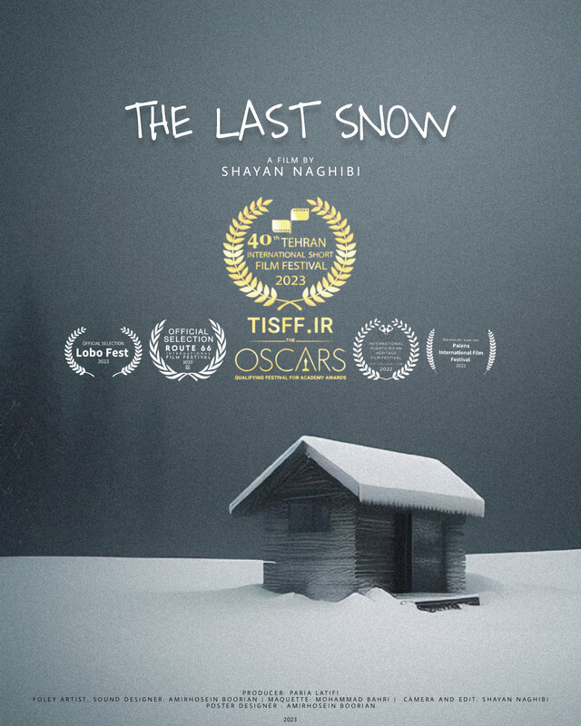 Poster for The Last Snow