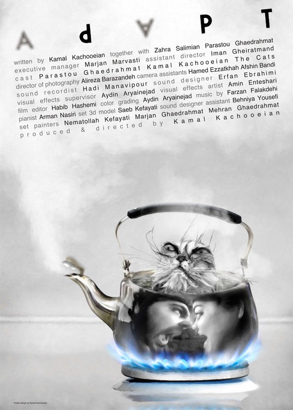 Poster for Adapt