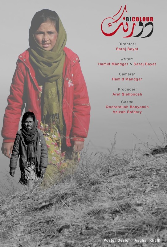 Poster for Missing Project File