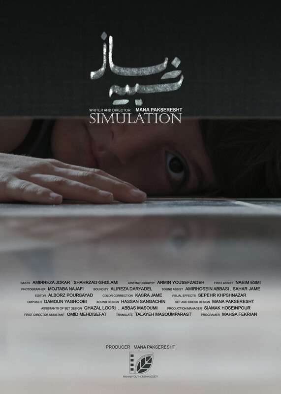 Poster for SIMULATION