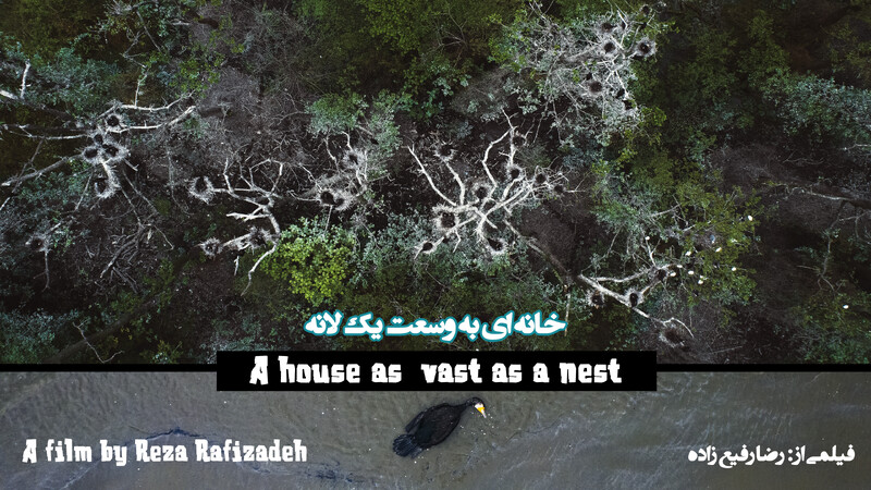 Poster for a house as vast as a nest