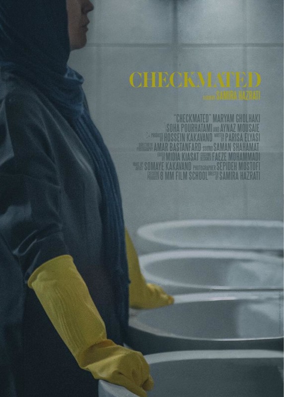Poster for Checkmated