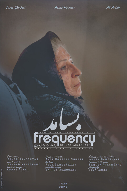 Poster for Missing Project File