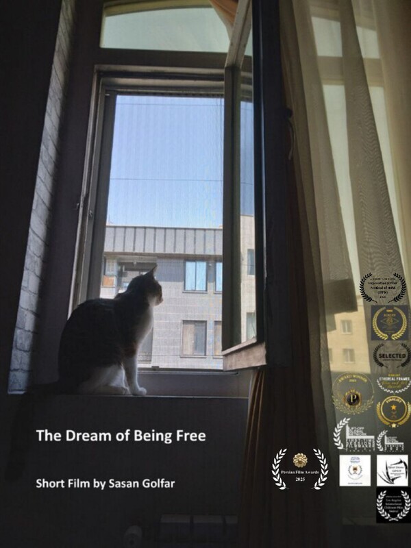 Poster for The Dream of Being Free